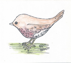 brownbird