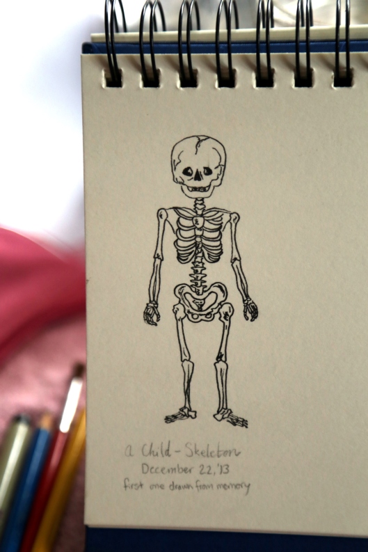 Learning to be an illustrator: Skeletons